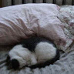 Meet your Posher, Kerri